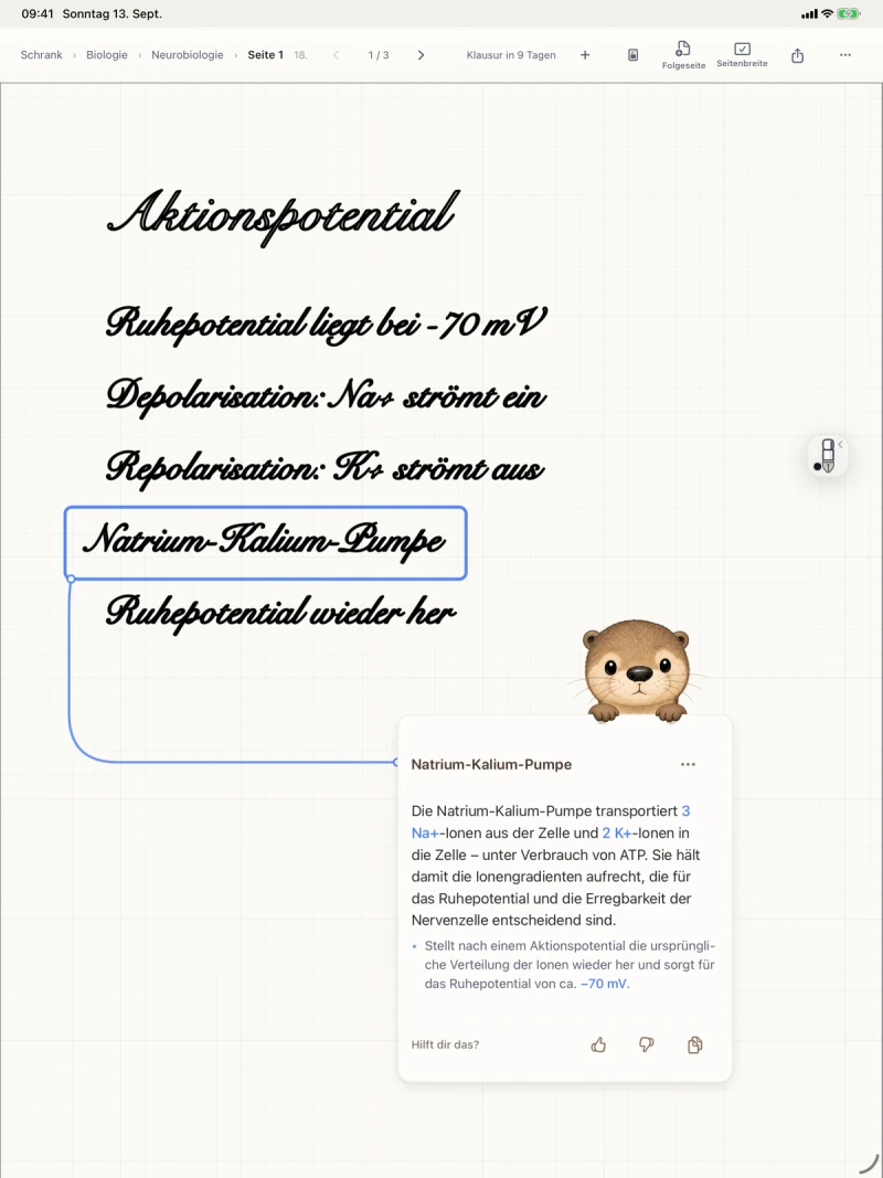 Otriva-App: markierte Notiz mit verbundener Erklärungskarte. Vorbereitete Beispielantwort.